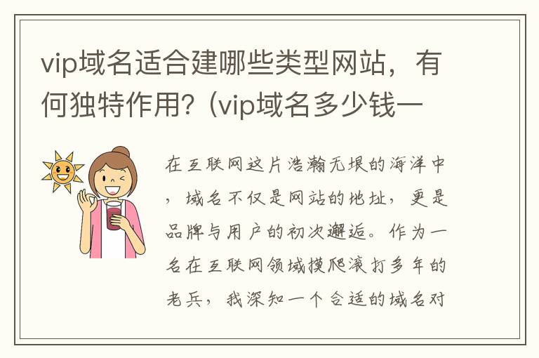 vip域名适合建哪些类型网站，有何独特作用？(vip域名多少钱一年)