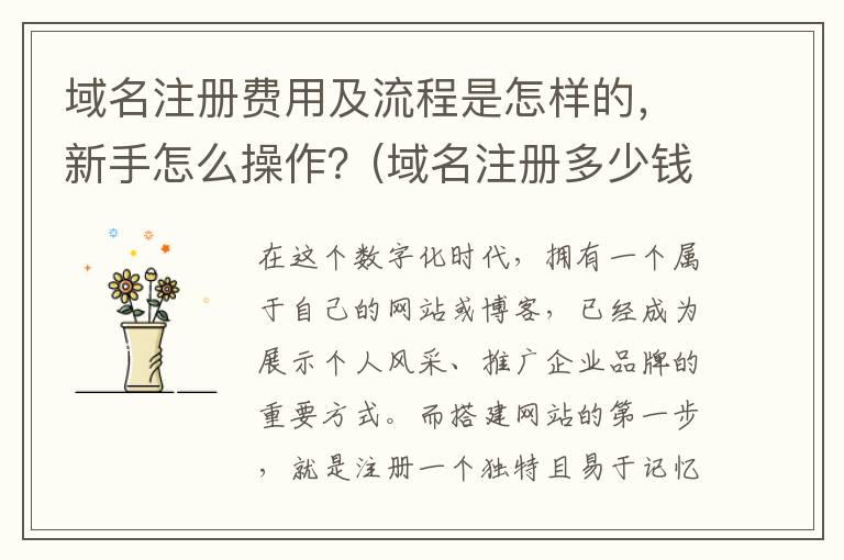 域名注册费用及流程是怎样的，新手怎么操作？(域名注册多少钱一年)