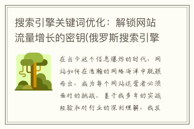 搜索引擎关键词优化：解锁网站流量增长的密钥(俄罗斯搜索引擎关键词)