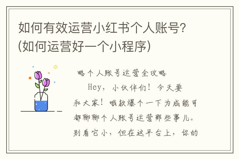 如何有效运营小红书个人账号？(如何运营好一个小程序)