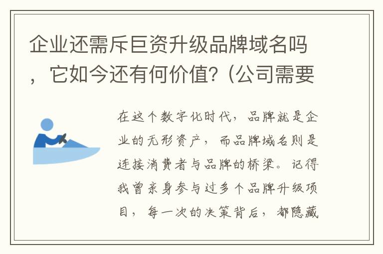 企业还需斥巨资升级品牌域名吗，它如今还有何价值？(公司需要大量资金投资)