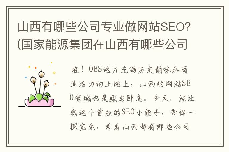 山西有哪些公司专业做网站SEO？(国家能源集团在山西有哪些公司)