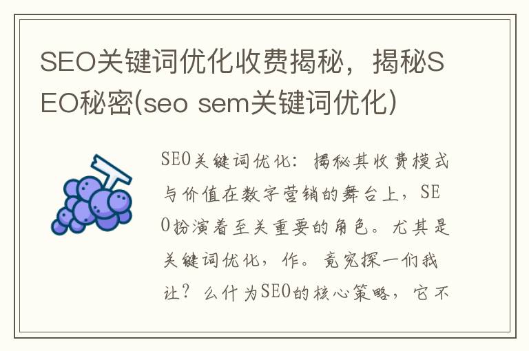 SEO关键词优化收费揭秘，揭秘SEO秘密(seo sem关键词优化)
