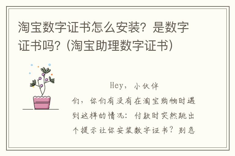 淘宝数字证书怎么安装？是数字证书吗？(淘宝助理数字证书)