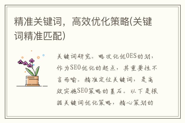 精准关键词，高效优化策略(关键词精准匹配)