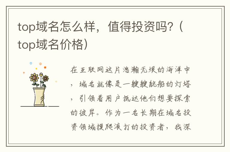 top域名怎么样，值得投资吗？(top域名价格)