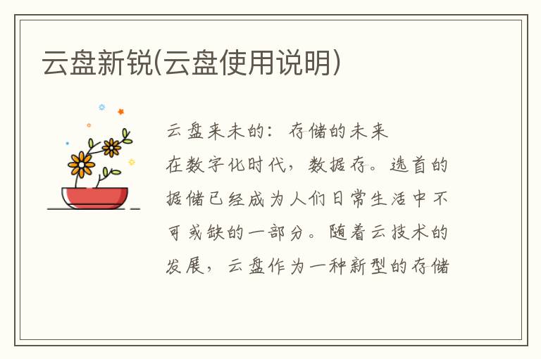 云盘新锐(云盘使用说明)