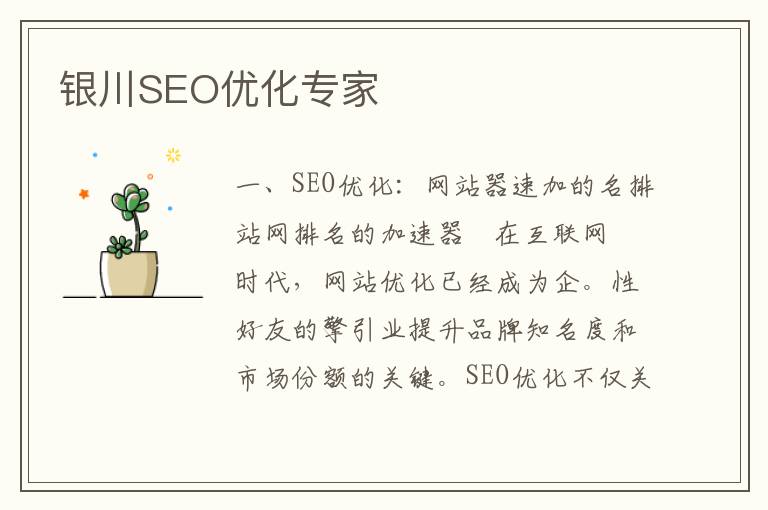 银川SEO优化专家