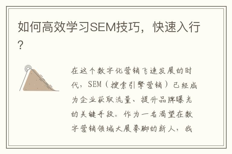 如何高效学习SEM技巧，快速入行？