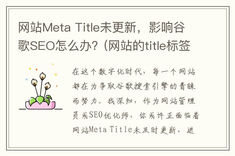 网站Meta Title未更新，影响谷歌SEO怎么办？(网站的title标签)