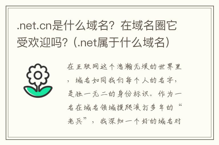 .net.cn是什么域名？在域名圈它受欢迎吗？(.net属于什么域名)