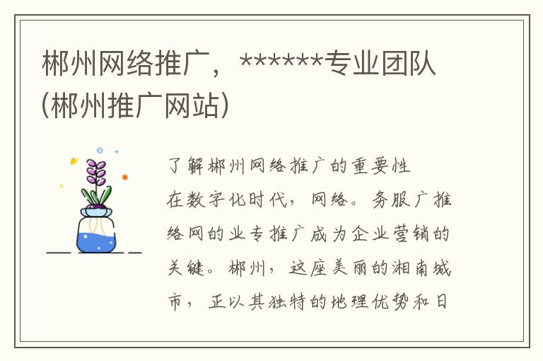 郴州网络推广，******专业团队(郴州推广网站)