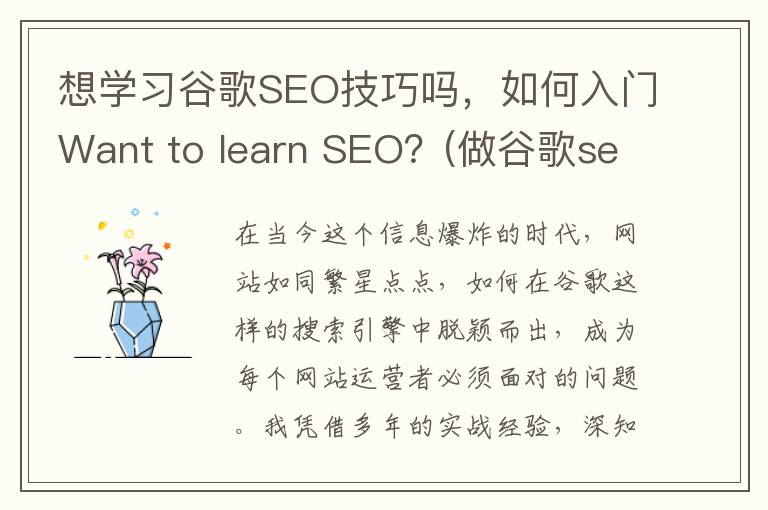 想学习谷歌SEO技巧吗，如何入门Want to learn SEO？(做谷歌seo有效果吗)