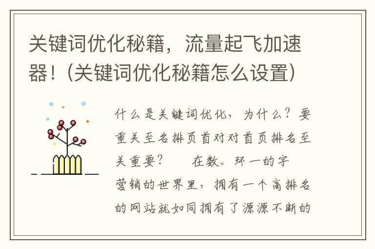 关键词优化秘籍，流量起飞加速器！(关键词优化秘籍怎么设置)