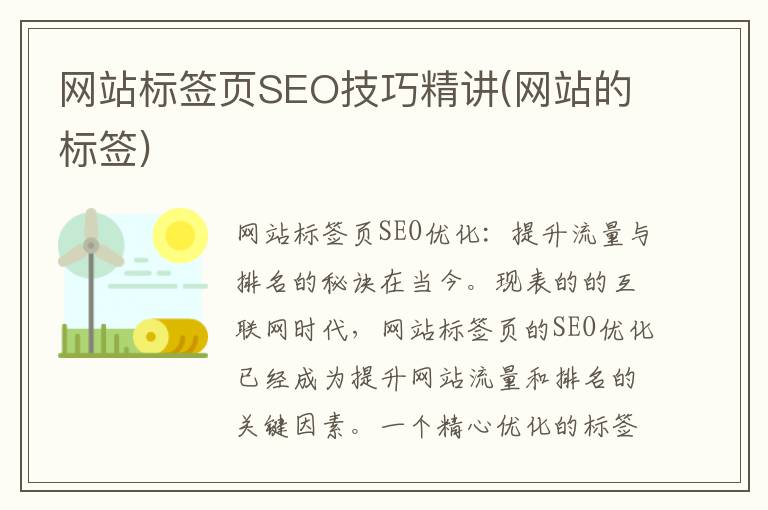 网站标签页SEO技巧精讲(网站的标签)