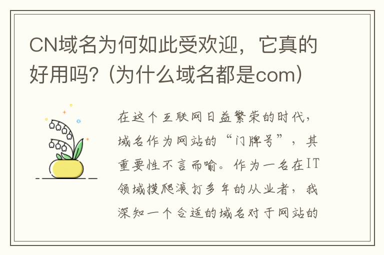 CN域名为何如此受欢迎，它真的好用吗？(为什么域名都是com)