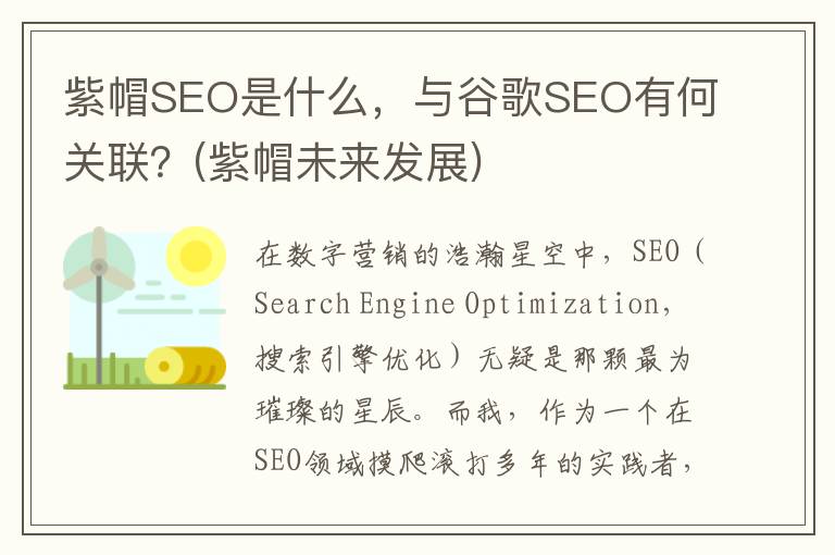 紫帽SEO是什么，与谷歌SEO有何关联？(紫帽未来发展)