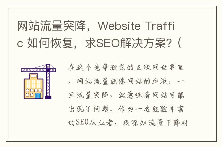 网站流量突降，Website Traffic 如何恢复，求SEO解决方案？(网站流量上不去)