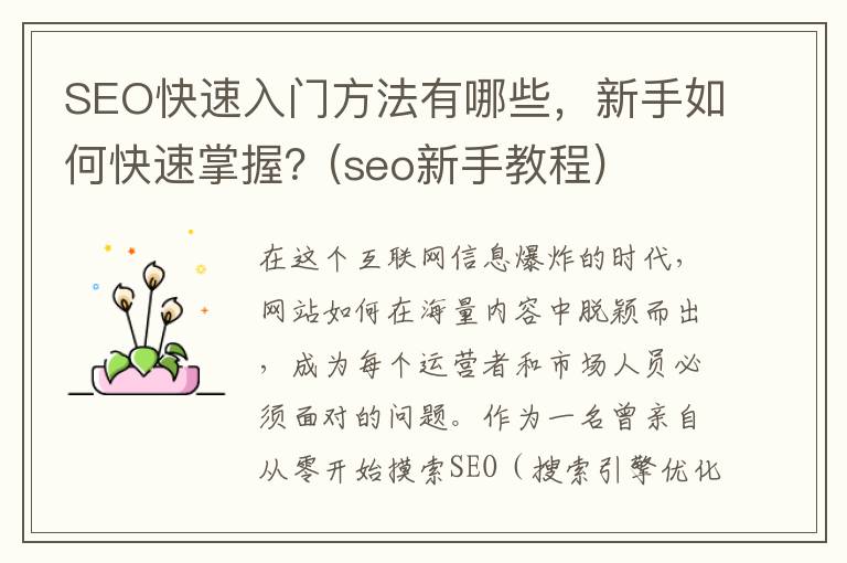 SEO快速入门方法有哪些，新手如何快速掌握？(seo新手教程)