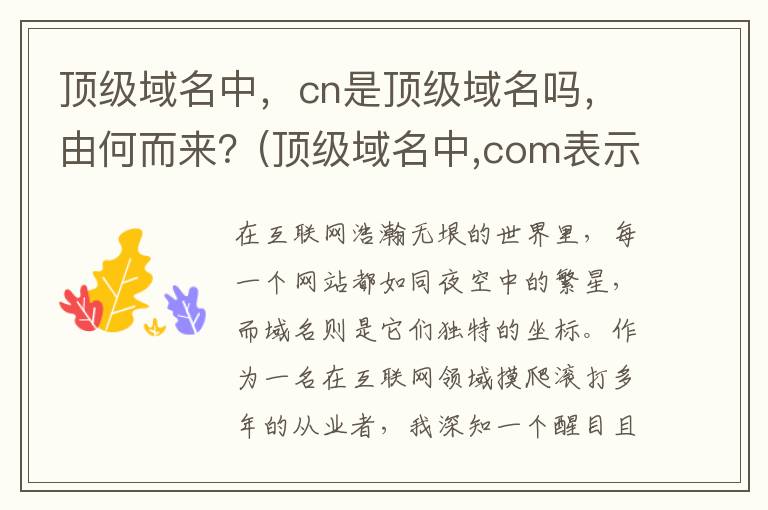 顶级域名中，cn是顶级域名吗，由何而来？(顶级域名中,com表示该网站属于什么类型?edu呢?)