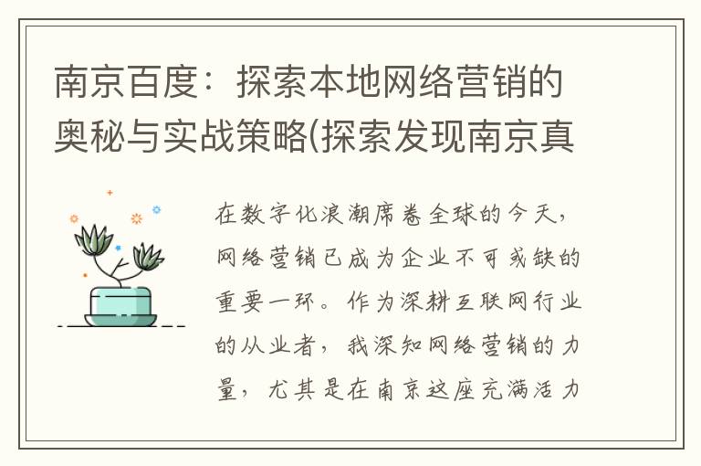 南京百度：探索本地网络营销的奥秘与实战策略(探索发现南京真相)