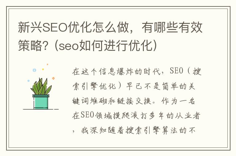 新兴SEO优化怎么做，有哪些有效策略？(seo如何进行优化)