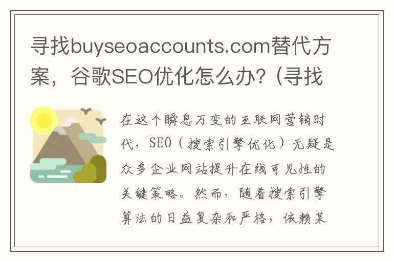 寻找buyseoaccounts.com替代方案，谷歌SEO优化怎么办？(寻找青春的答案作文)