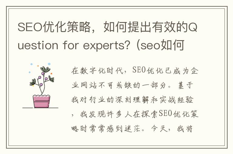 SEO优化策略，如何提出有效的Question for experts？(seo如何做优化)