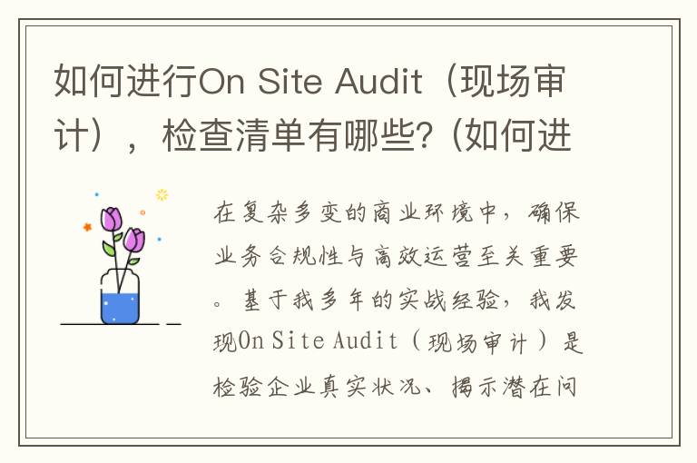 如何进行On Site Audit（现场审计），检查清单有哪些？(如何进行数据分析)