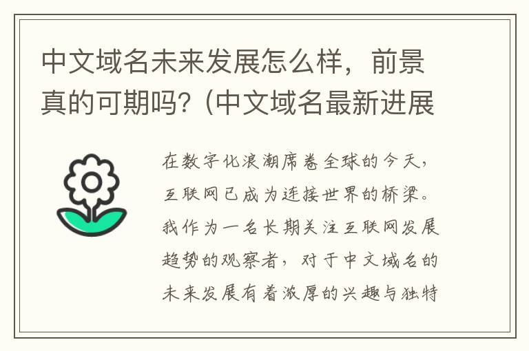 中文域名未来发展怎么样，前景真的可期吗？(中文域名最新进展)