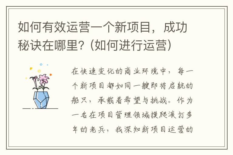 如何有效运营一个新项目，成功秘诀在哪里？(如何进行运营)