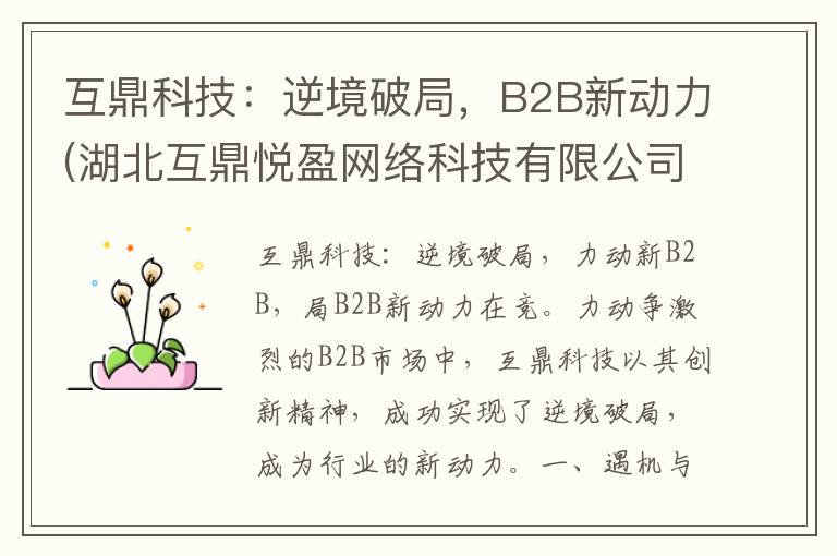 互鼎科技：逆境破局，B2B新动力(湖北互鼎悦盈网络科技有限公司)