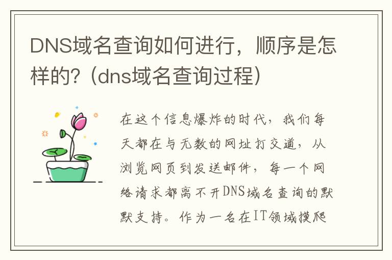 DNS域名查询如何进行，顺序是怎样的？(dns域名查询过程)