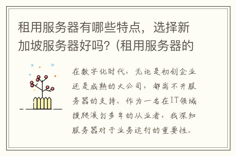 租用服务器有哪些特点，选择新加坡服务器好吗？(租用服务器的优缺点)
