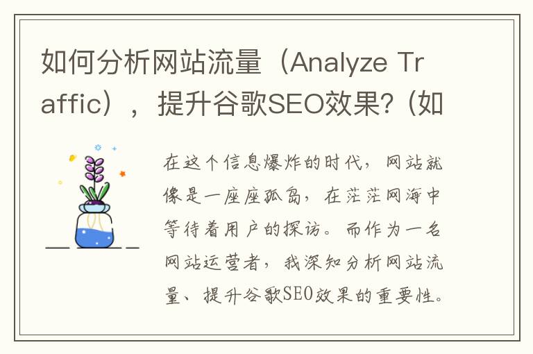如何分析网站流量（Analyze Traffic），提升谷歌SEO效果？(如何分析网站流量数据以评估广告投放效果)