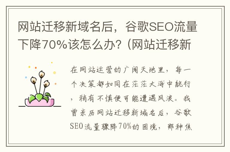 网站迁移新域名后，谷歌SEO流量下降70%该怎么办？(网站迁移新域名流程)