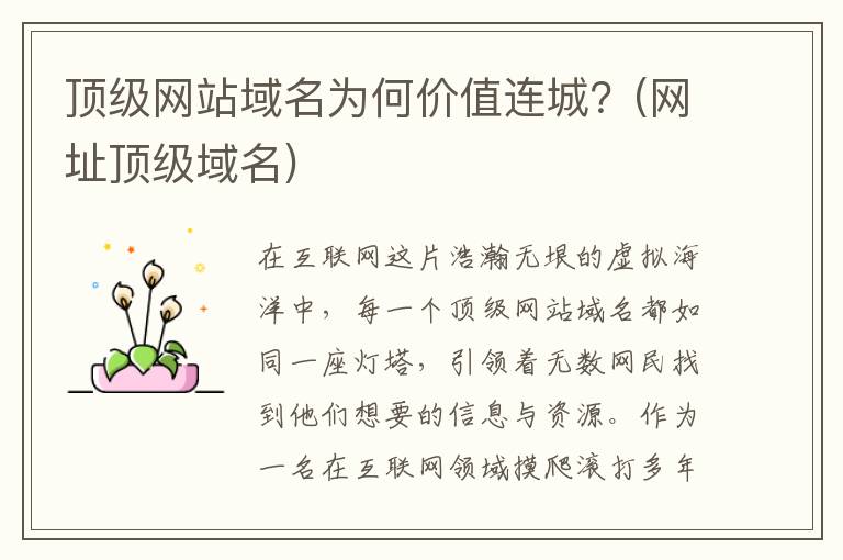 顶级网站域名为何价值连城？(网址顶级域名)