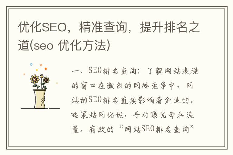 优化SEO，精准查询，提升排名之道(seo 优化方法)