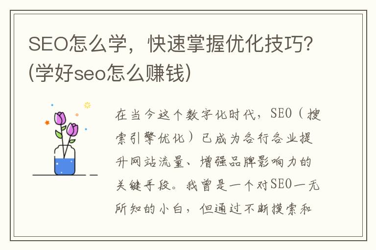 SEO怎么学，快速掌握优化技巧？(学好seo怎么赚钱)
