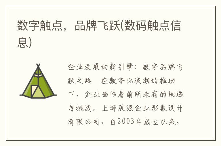 数字触点，品牌飞跃(数码触点信息)