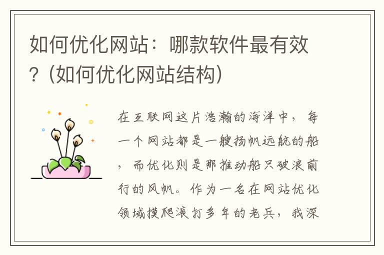 如何优化网站：哪款软件最有效？(如何优化网站结构)