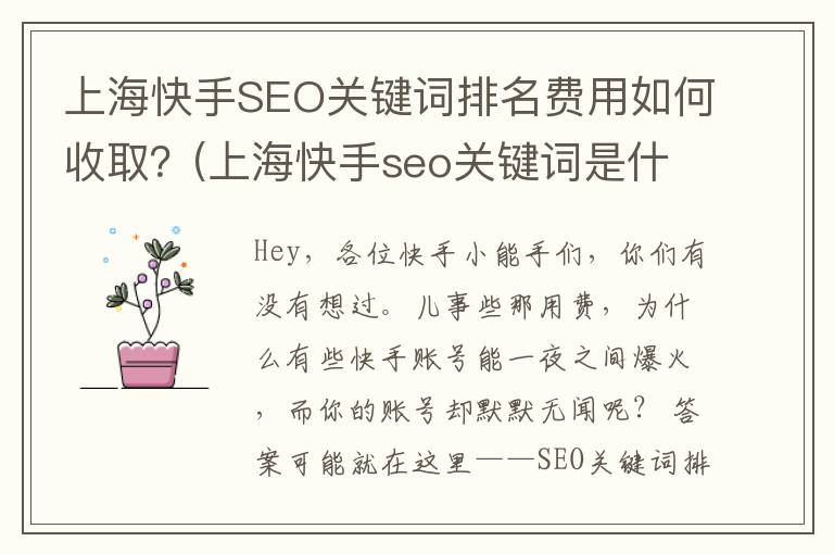 上海快手SEO关键词排名费用如何收取？(上海快手seo关键词是什么)