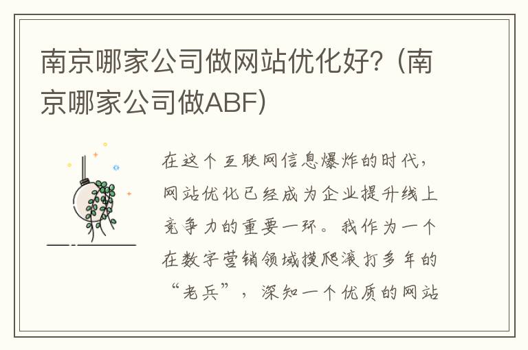 南京哪家公司做网站优化好？(南京哪家公司做ABF)