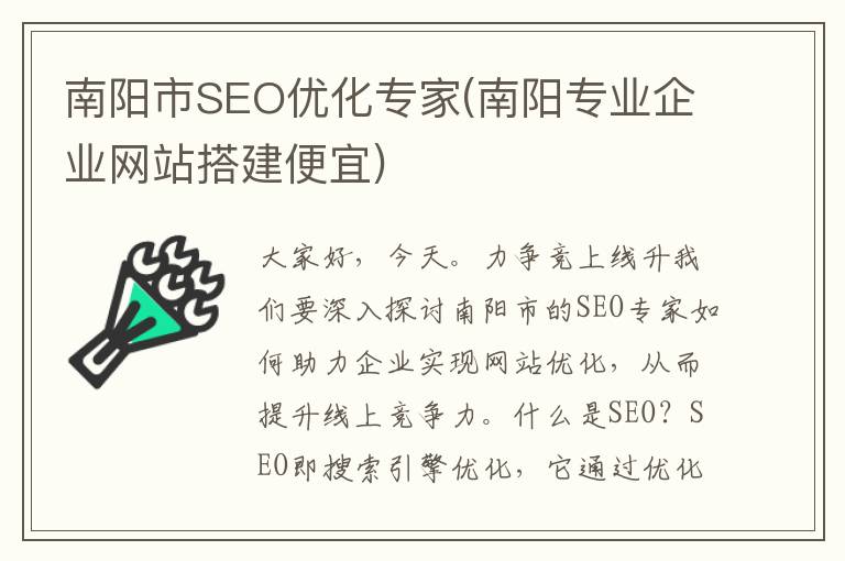 南阳市SEO优化专家(南阳专业企业网站搭建便宜)