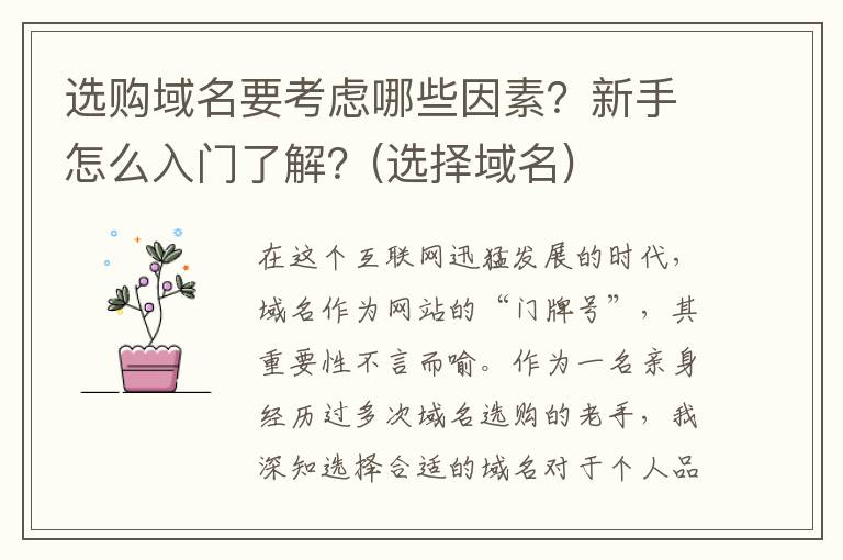 选购域名要考虑哪些因素？新手怎么入门了解？(选择域名)