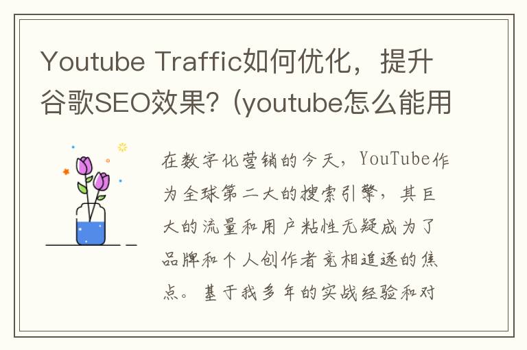 Youtube Traffic如何优化，提升谷歌SEO效果？(youtube怎么能用)