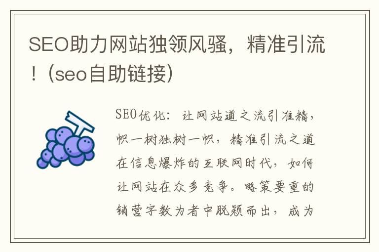 SEO助力网站独领风骚，精准引流！(seo自助链接)