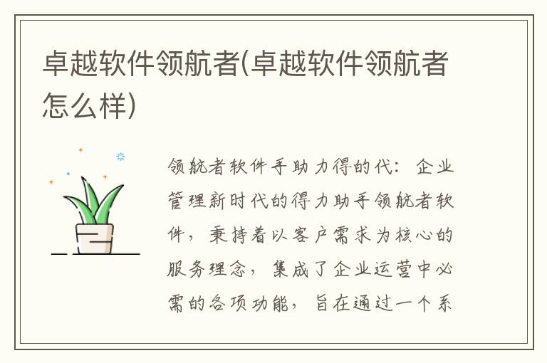 卓越软件领航者(卓越软件领航者怎么样)
