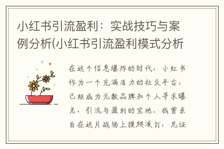 小红书引流盈利：实战技巧与案例分析(小红书引流盈利模式分析)