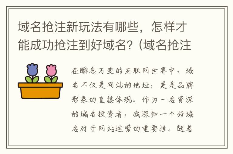 域名抢注新玩法有哪些，怎样才能成功抢注到好域名？(域名抢注案例视频)